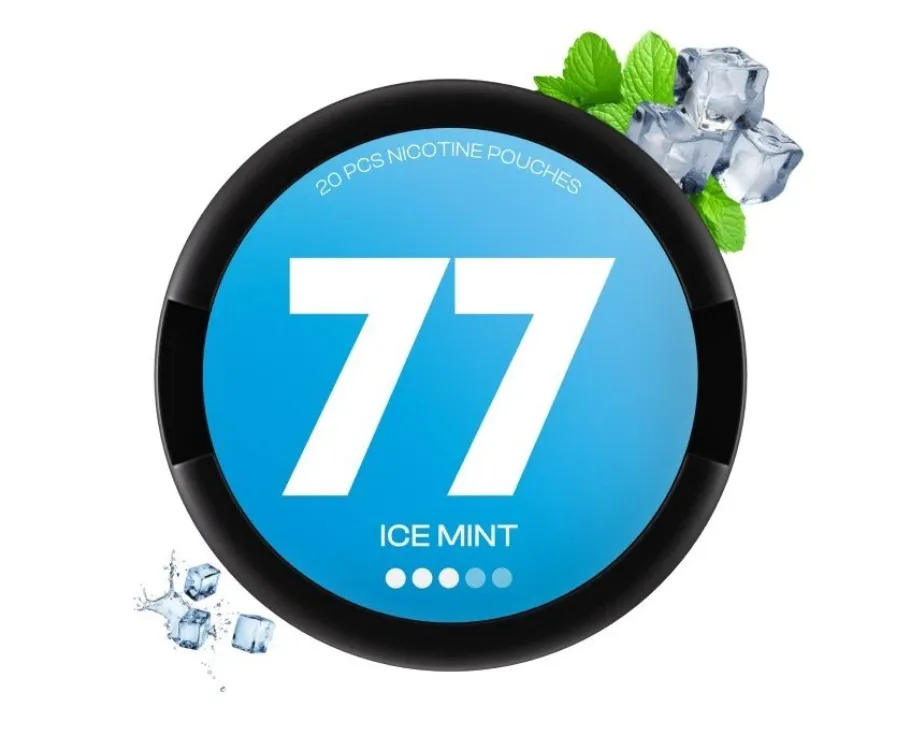 [77ICEMIN] 77 Nikotinové sáčky Ice Mint