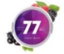 77 Nikotinové sáčky Forest Fruits